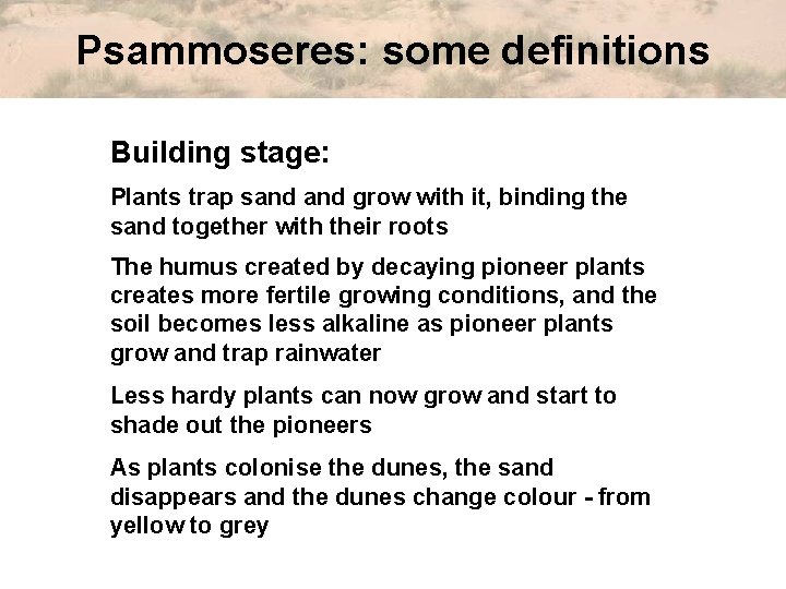 Psammoseres: some definitions Building stage: Plants trap sand grow with it, binding the sand