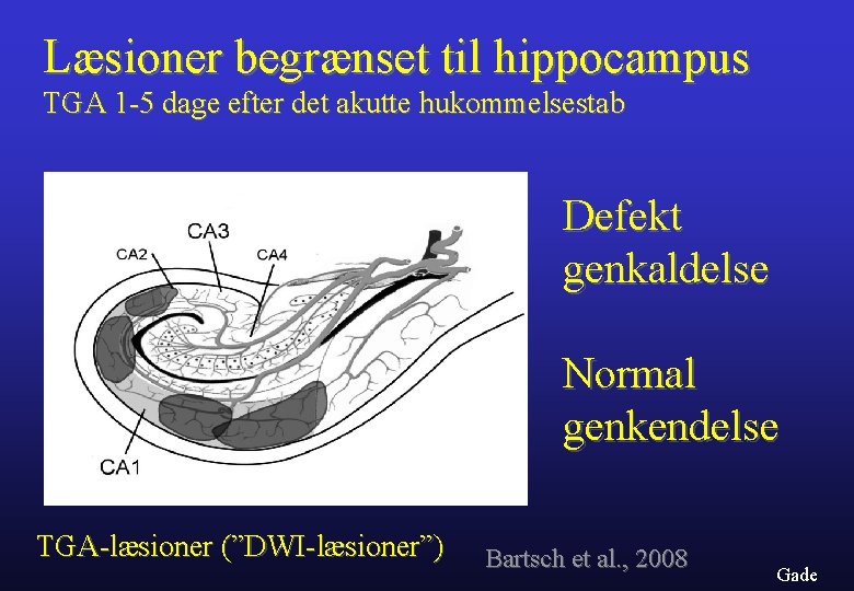 Læsioner begrænset til hippocampus TGA 1 -5 dage efter det akutte hukommelsestab Defekt genkaldelse