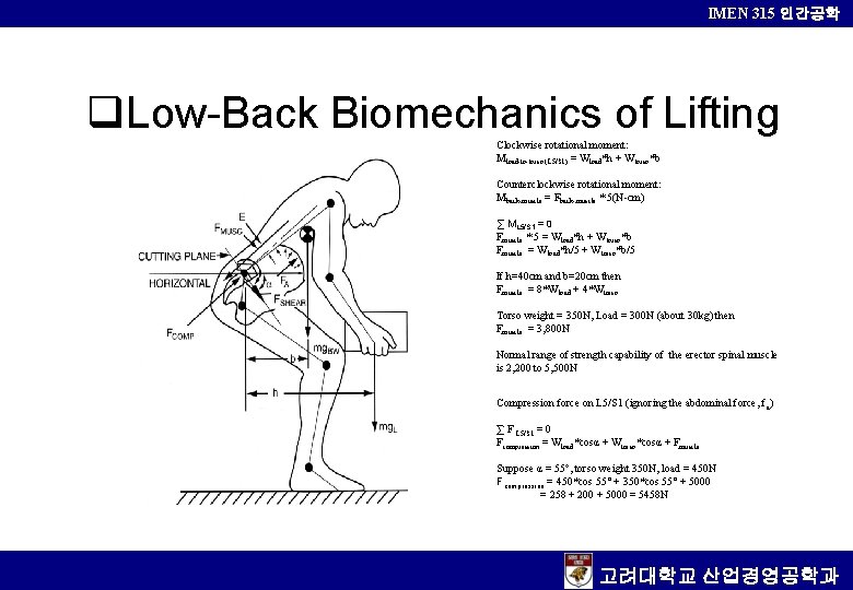 IMEN 315 인간공학 q. Low-Back Biomechanics of Lifting Clockwise rotational moment: Mload-to-torso (L 5/S