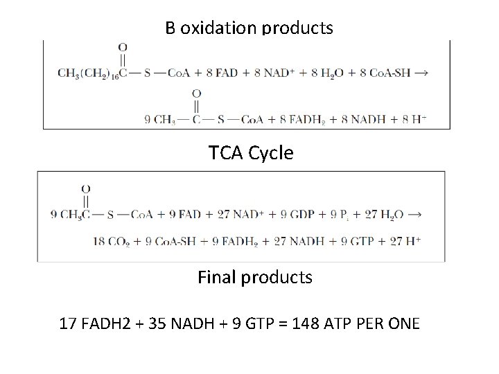 B oxidation products TCA Cycle Final products 17 FADH 2 + 35 NADH +