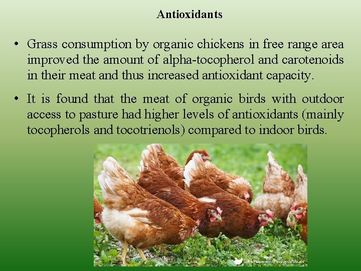  Antioxidants • Grass consumption by organic chickens in free range area improved the