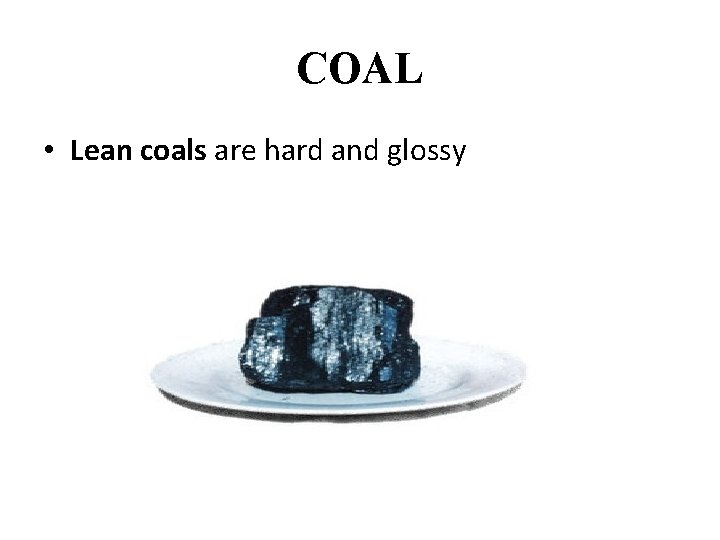COAL • Lean coals are hard and glossy 