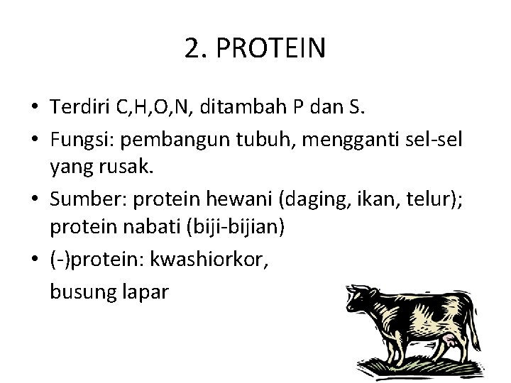 2. PROTEIN • Terdiri C, H, O, N, ditambah P dan S. • Fungsi: