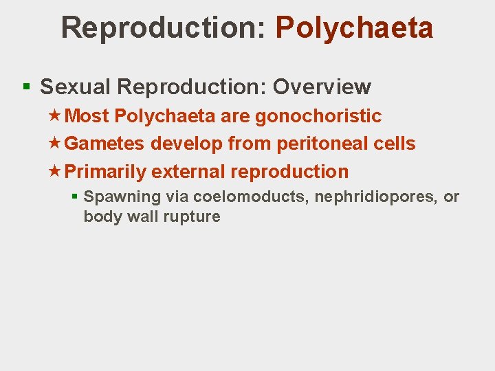 Reproduction: Polychaeta § Sexual Reproduction: Overview «Most Polychaeta are gonochoristic «Gametes develop from peritoneal