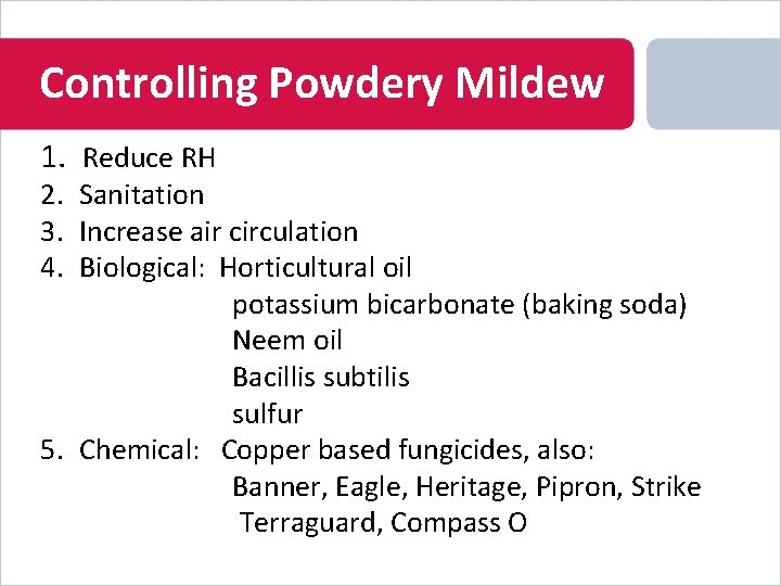 Controlling Powdery Mildew 1. Reduce RH 2. Sanitation 3. Increase air circulation 4. Biological: