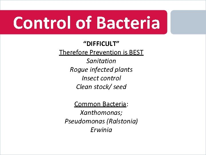 Control of Bacteria “DIFFICULT” Therefore Prevention is BEST Sanitation Rogue infected plants Insect control
