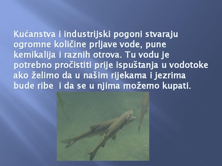 Kućanstva i industrijski pogoni stvaraju ogromne količine prljave vode, pune kemikalija i raznih otrova.