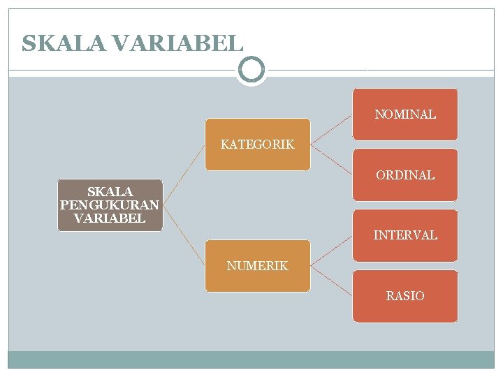 SKALA VARIABEL NOMINAL KATEGORIK ORDINAL SKALA PENGUKURAN VARIABEL INTERVAL NUMERIK RASIO 