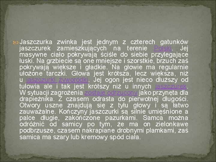  Jaszczurka zwinka jest jednym z czterech gatunków jaszczurek zamieszkujących na terenie Polski. Jej