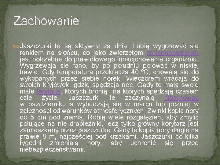 Zachowanie Jaszczurki te są aktywne za dnia. Lubią wygrzewać się rankiem na słońcu, co