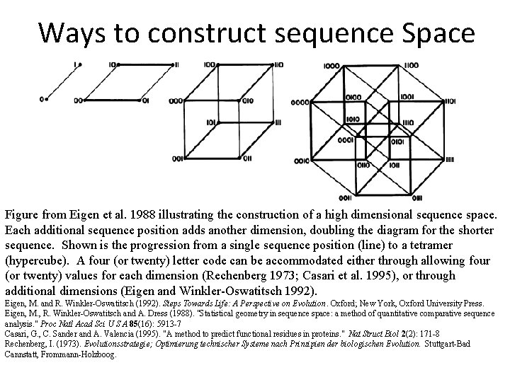 Ways to construct sequence Space Figure from Eigen et al. 1988 illustrating the construction