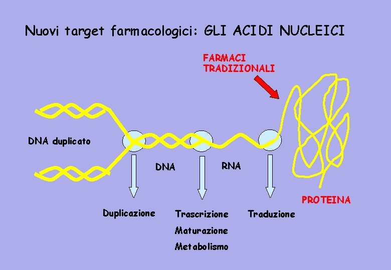 Nuovi target farmacologici: GLI ACIDI NUCLEICI FARMACI TRADIZIONALI DNA duplicato DNA RNA PROTEINA Duplicazione