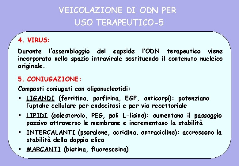 VEICOLAZIONE DI ODN PER USO TERAPEUTICO-5 4. VIRUS: Durante l’assemblaggio del capside l’ODN terapeutico