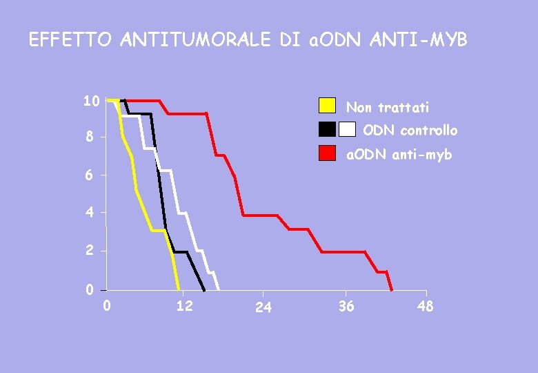 EFFETTO ANTITUMORALE DI a. ODN ANTI-MYB 10 Non trattati ODN controllo 8 a. ODN