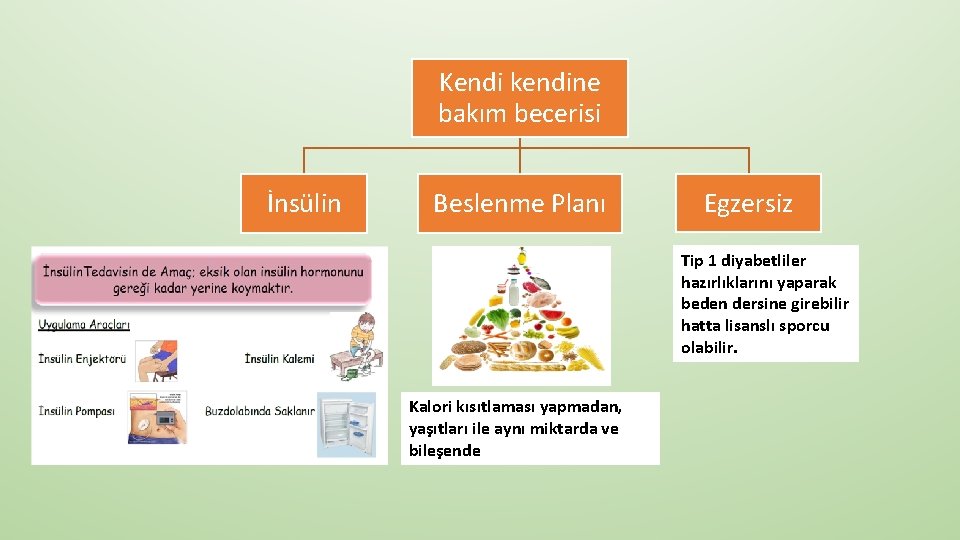 Kendi kendine bakım becerisi İnsülin Beslenme Planı Egzersiz Tip 1 diyabetliler hazırlıklarını yaparak beden