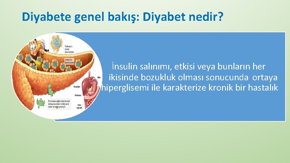 Diyabete genel bakış: Diyabet nedir? çıkan İnsulin salınımı, etkisi veya bunların her ikisinde bozukluk