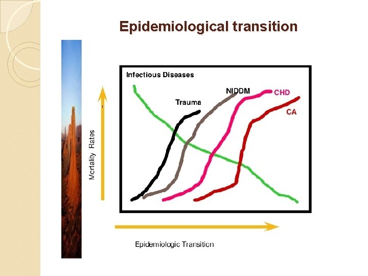 Epidemiological transition Epidemiological transition