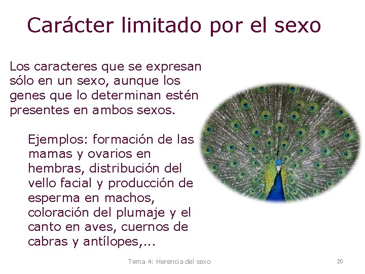 Carácter limitado por el sexo Los caracteres que se expresan sólo en un sexo,