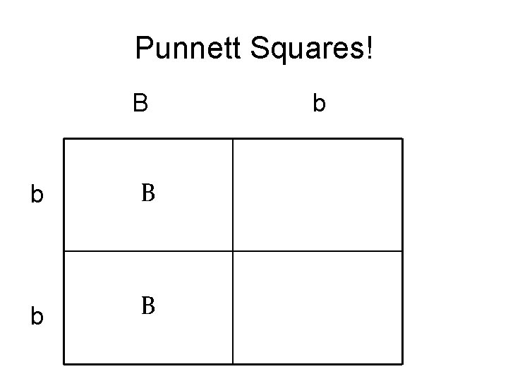 Punnett Squares! B b B b 