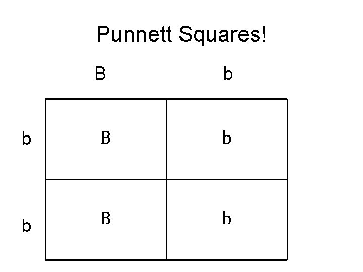 Punnett Squares! B b b B b 