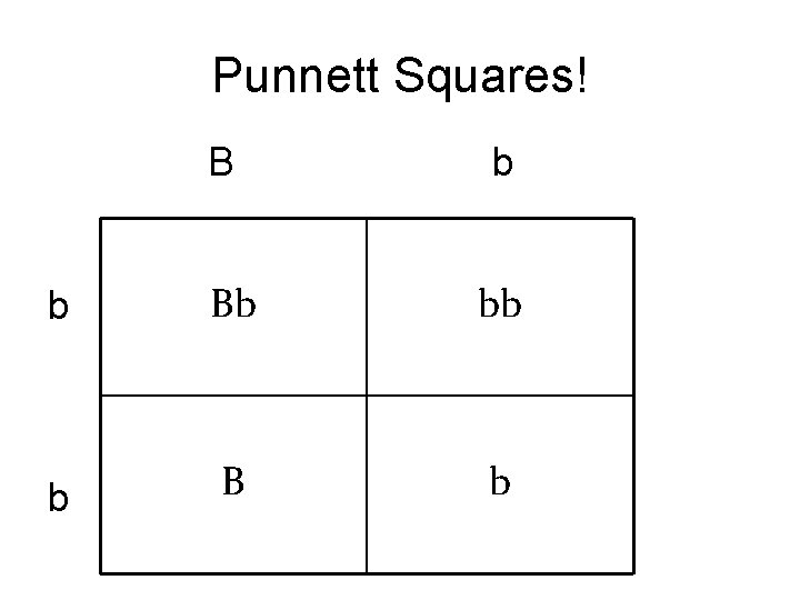 Punnett Squares! B b b Bb bb b B b 