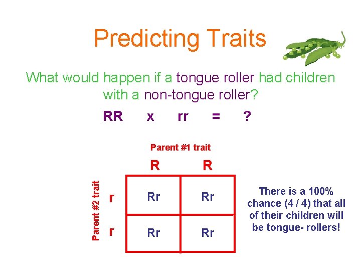 Predicting Traits What would happen if a tongue roller had children with a non-tongue