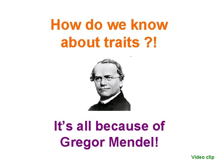 How do we know about traits ? ! It’s all because of Gregor Mendel!