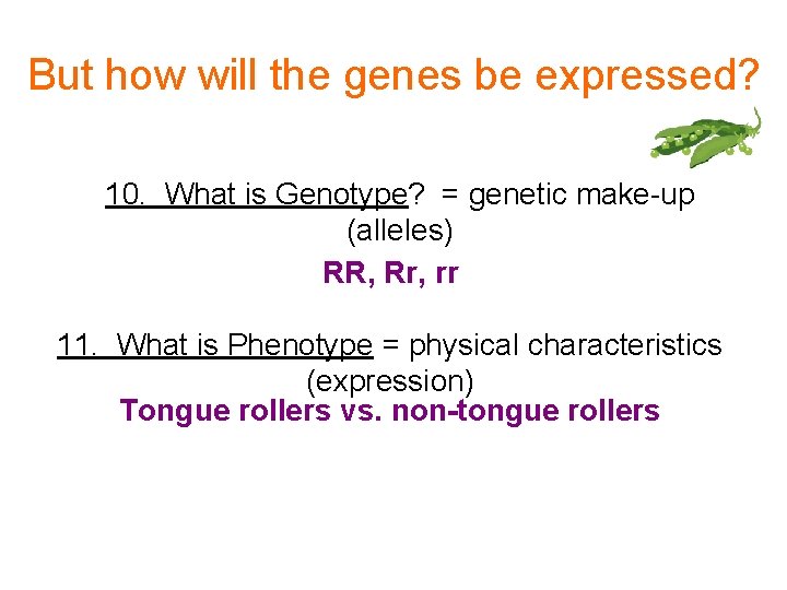 But how will the genes be expressed? 10. What is Genotype? = genetic make-up