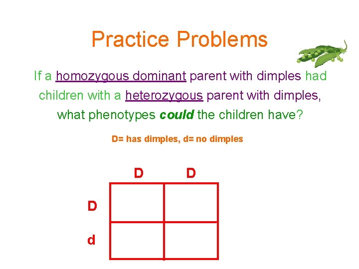 Practice Problems If a homozygous dominant parent with dimples had children with a heterozygous