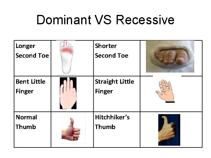 Dominant VS Recessive Longer Second Toe Shorter Second Toe Bent Little Finger Straight Little