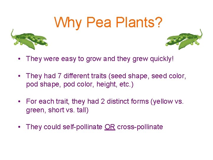 Why Pea Plants? • They were easy to grow and they grew quickly! •