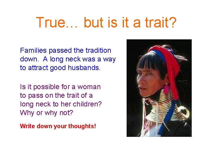 True… but is it a trait? Families passed the tradition down. A long neck