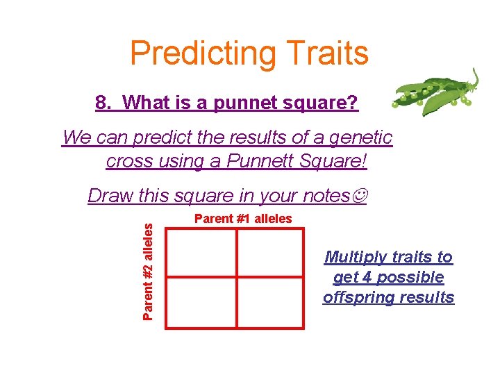 Predicting Traits 8. What is a punnet square? We can predict the results of