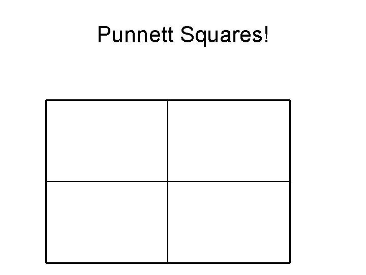 Punnett Squares! 