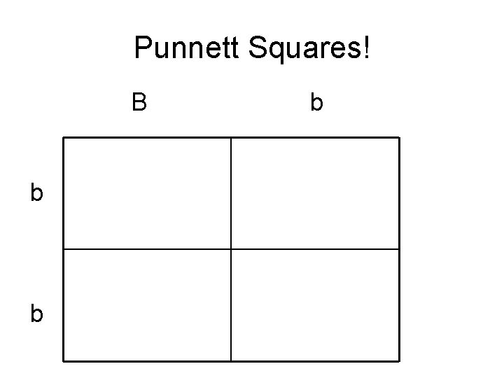 Punnett Squares! B b b b 