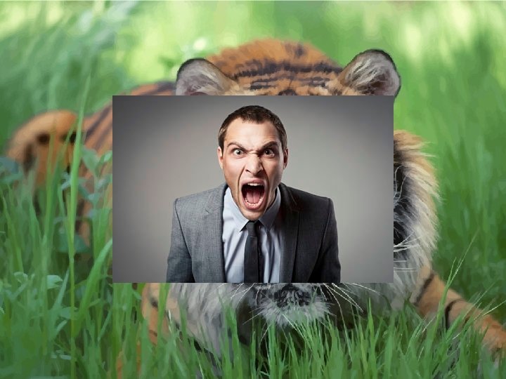 …to light up our amygdalas… 