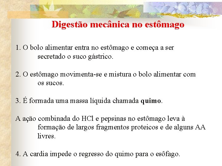 Digestão mecânica no estômago 1. O bolo alimentar entra no estômago e começa a