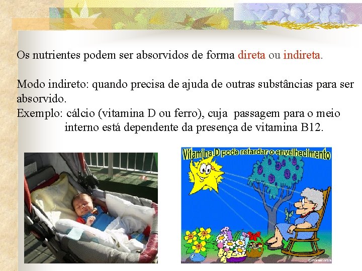 Os nutrientes podem ser absorvidos de forma direta ou indireta. Modo indireto: quando precisa