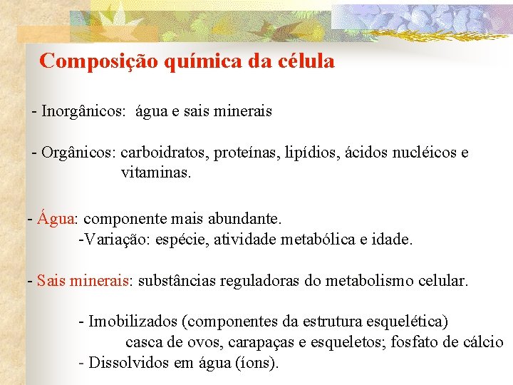 Composição química da célula - Inorgânicos: água e sais minerais - Orgânicos: carboidratos, proteínas,