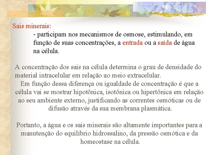 Sais minerais: - participam nos mecanismos de osmose, estimulando, em função de suas concentrações,