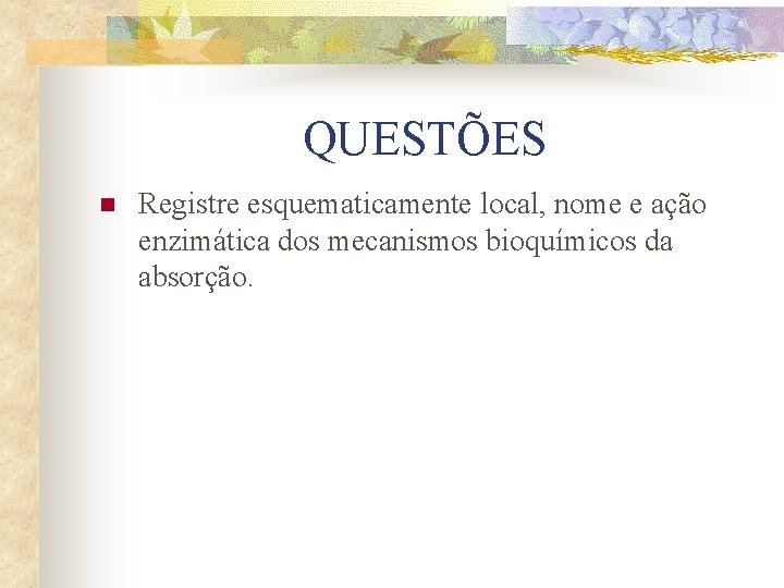 QUESTÕES n Registre esquematicamente local, nome e ação enzimática dos mecanismos bioquímicos da absorção.