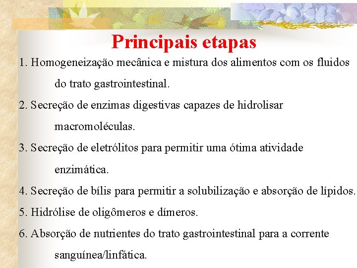 Principais etapas 1. Homogeneização mecânica e mistura dos alimentos com os fluidos do trato