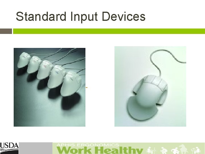  Standard Input Devices 