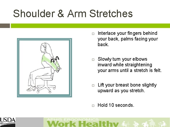 Shoulder & Arm Stretches Interlace your fingers behind your back, palms facing your back.