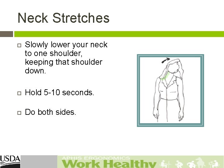 Neck Stretches Slowly lower your neck to one shoulder, keeping that shoulder down. Hold