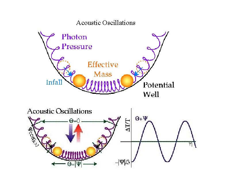 � Acoustic Oscillations 