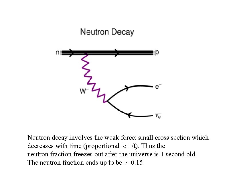 � Neutron decay involves the weak force: small cross section which decreases with time