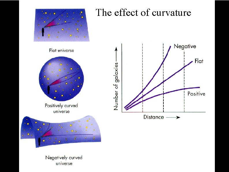 The effect of curvature 
