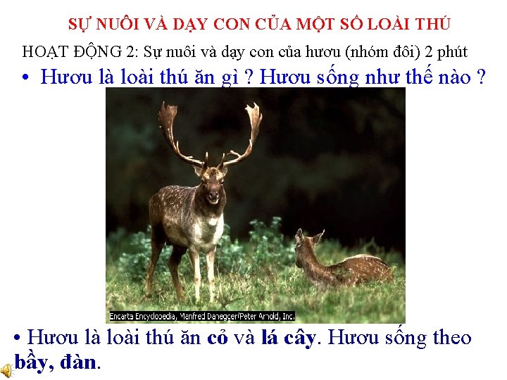 SỰ NUÔI VÀ DẠY CON CỦA MỘT SỐ LOÀI THÚ HOẠT ĐỘNG 2: Sự