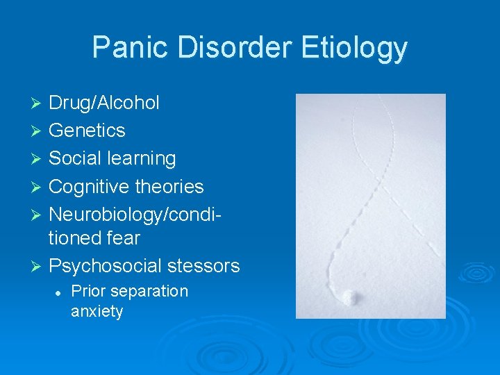 Panic Disorder Etiology Drug/Alcohol Ø Genetics Ø Social learning Ø Cognitive theories Ø Neurobiology/conditioned